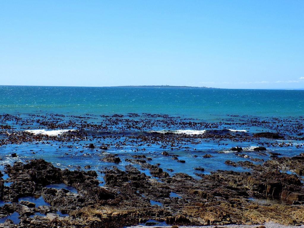 Villa Marina Cape Town Bagian luar foto
